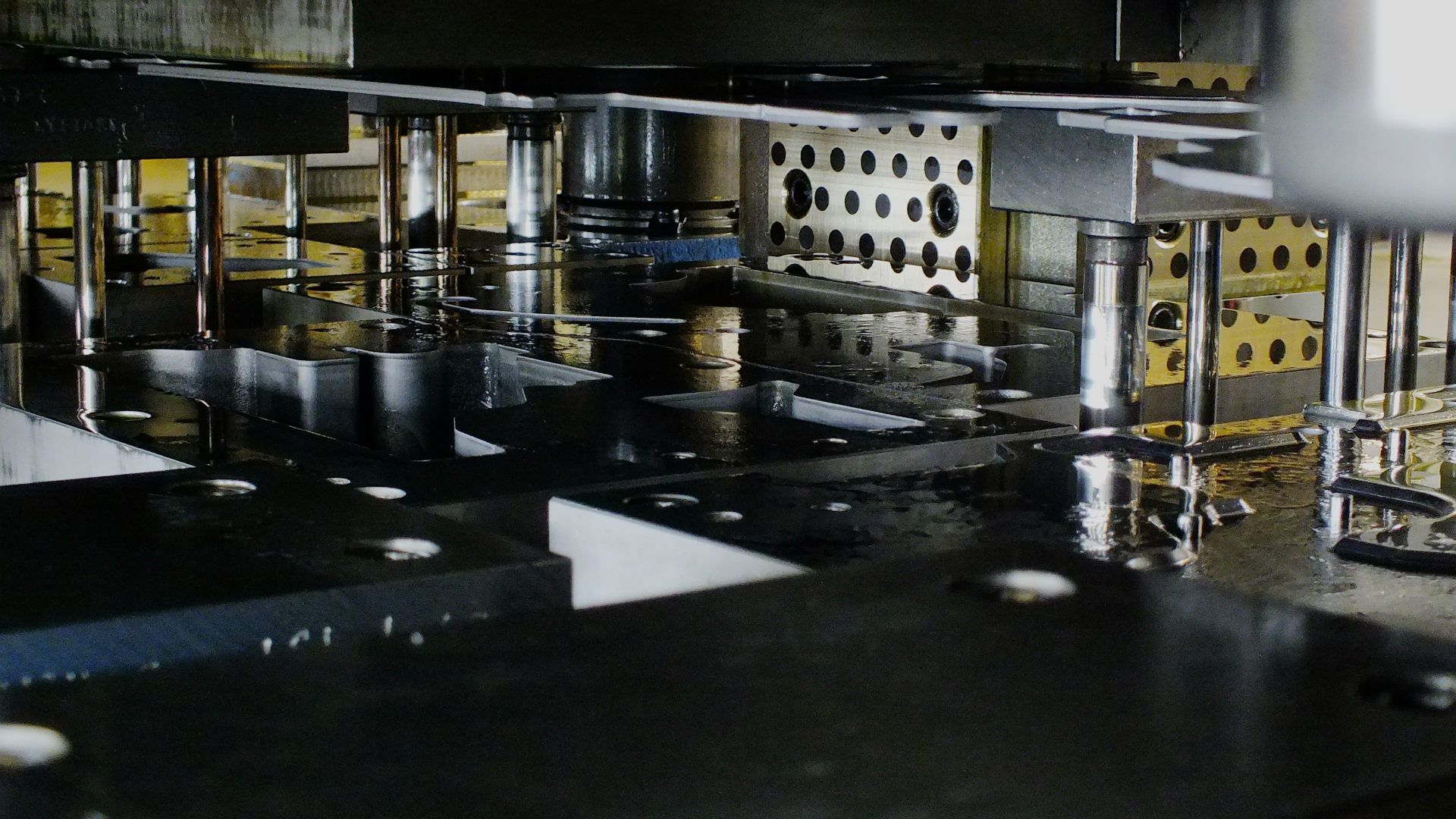 Mes augame kartu su jumis